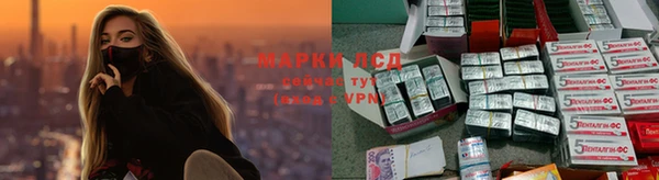 альфа пвп Алзамай